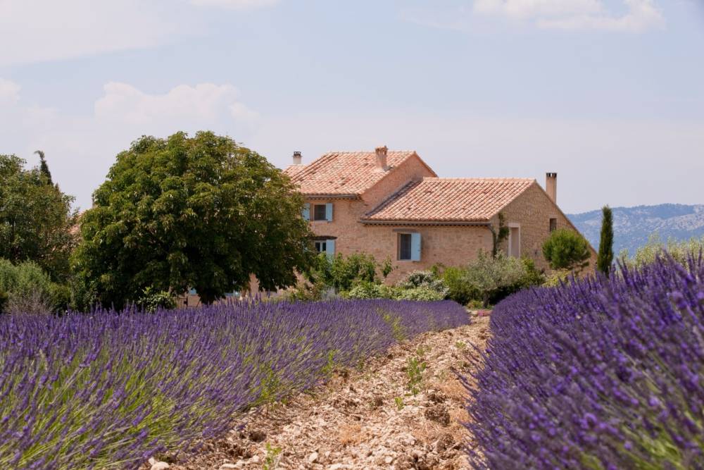 Mas provençal à Saint-Chamas
